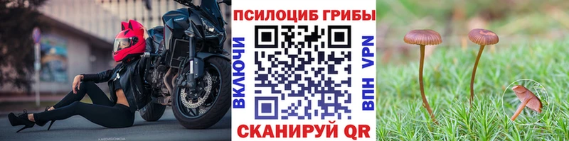 Галлюциногенные грибы мухоморы  Ахтубинск 