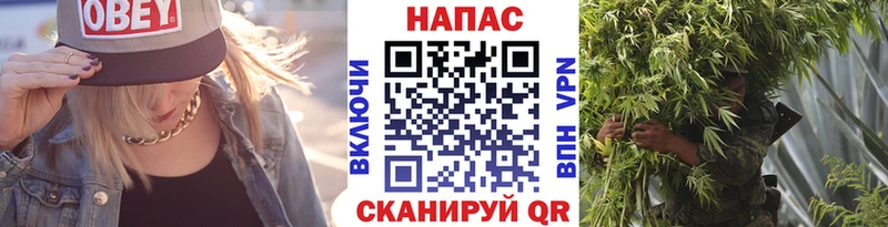 Бошки марихуана конопля  как найти   Ахтубинск 